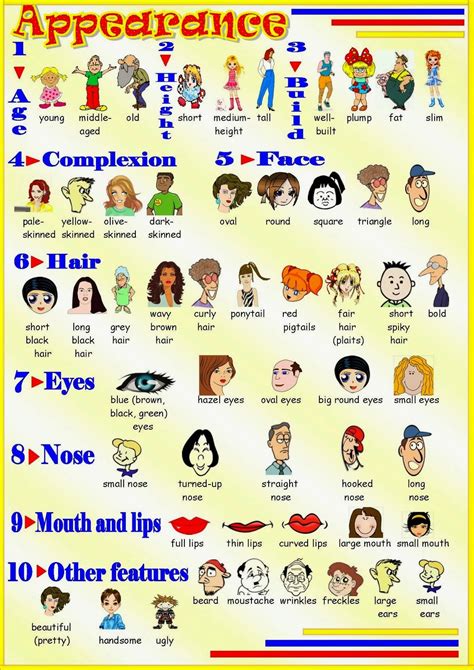 Describing Peoplephysical Appearance Adjectives List Learn English