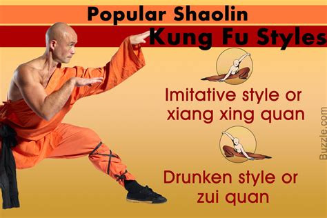 Most Famous Shaolin Kung Fu Styles That Are Freaking