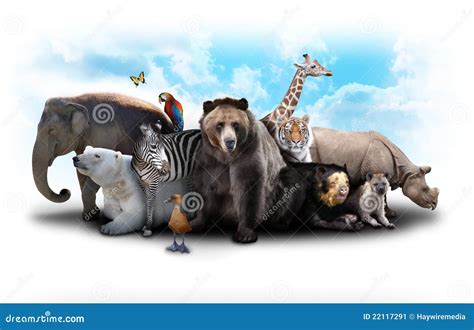 10134 Group Zoo Animals Stock Photos Free And Royalty Free Stock