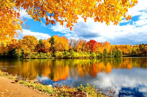 Free Photo River Autumn Reflections Autumn Sunny Reflection Free Download Jooinn