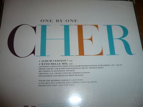 The Collector Of Cher My Cher Cd Albums And Singles Part It S A Man