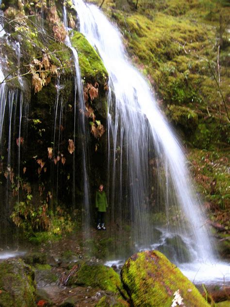 Check spelling or type a new query. Elk Creek Waterfall in the Bull of the Woods-Mt Hood | Flickr