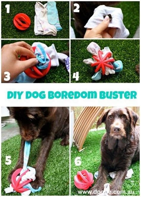 20 Diy Dog Toys You Can Make At Home