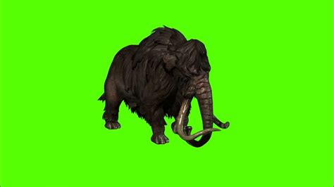 3d Rendering Animation Mammoth Attacks Side On Green Screen By