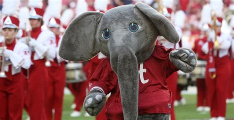 5 Things You Need To Know About Big Al At University Of Alabama