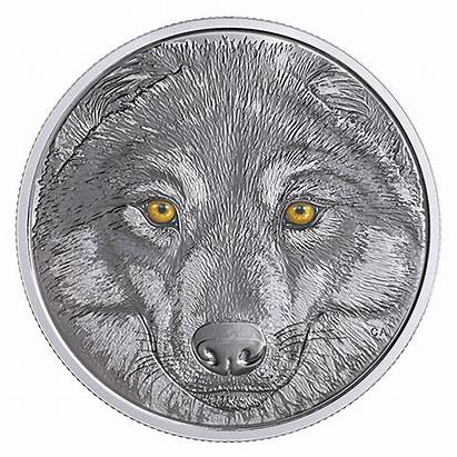 Wolf Coin Eyes Canadian Silver Dark Glow