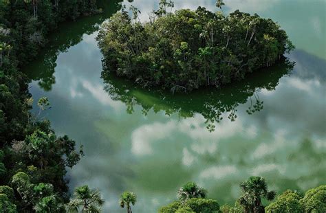 Amazon Waters