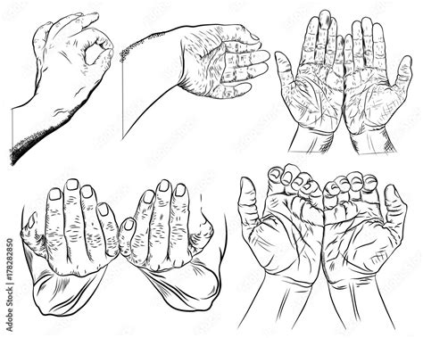 Set Of Hand Gestures Sketch Two Open Female Hands Showing Protecting Gesture Empty Hand