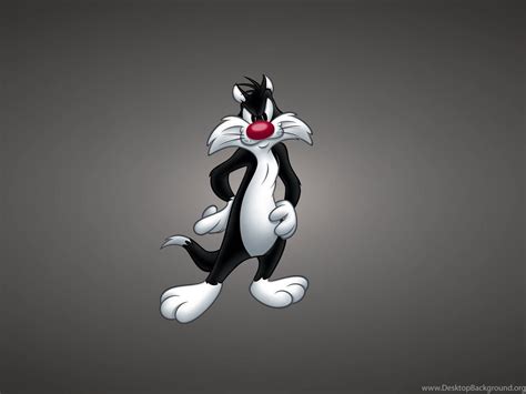 Looney Tunes Awesome Hd Backgrounds Cartoon All Hd Wallpapers Desktop