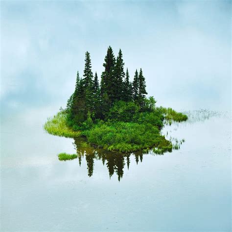 A Tiny Island In The Middle Of Tumuch Lake In Northern British Columbia