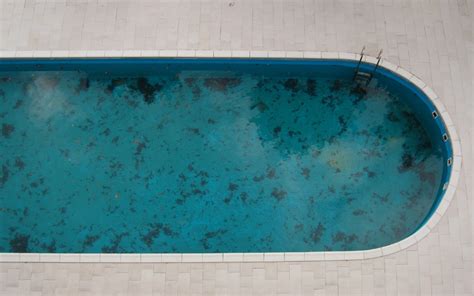 What Makes Swimming Pools Dirty Poolside Christchurch
