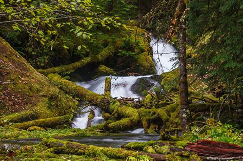 Lower Downing Creek Falls Oregon United States World Waterfall Database