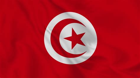 Republic Of Tunisia Realistic Waving Flag Smooth Seamless Loop 4k