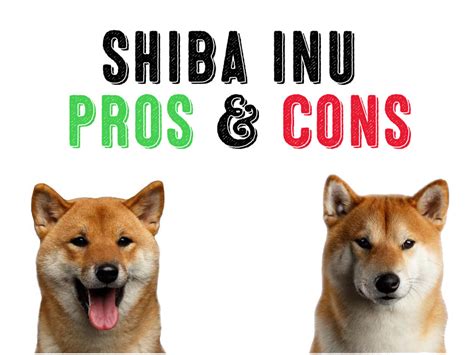 They lived way back in 300 bc in japan. Shiba inu cost puppy | Dogs, breeds and everything about ...