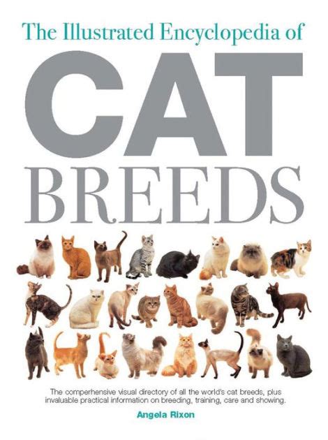 The Illustrated Encyclopedia Of Cat Breeds By Angela Rixon Hardcover
