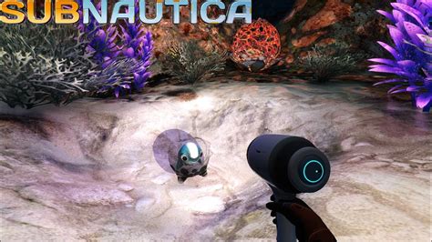 Subnautica How To Find The Cuddlefish Egg In The Dunes Youtube