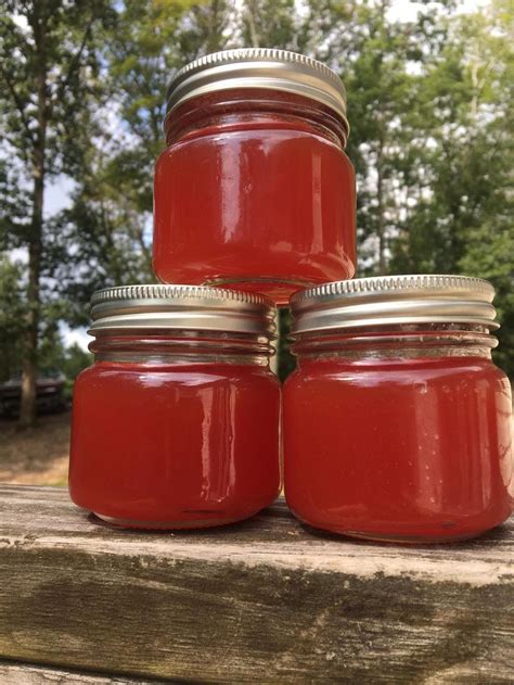 Watermelon Jam Homemade Jams Jellies Unusual Summer In A Jar Recipe Southern Canning