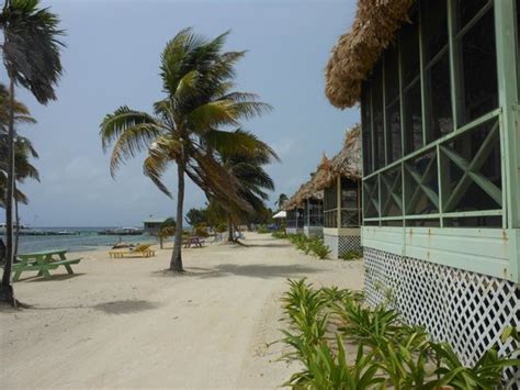 Blackbird Caye Resort Hotel Reviews And Rates Turneffe Island Belize