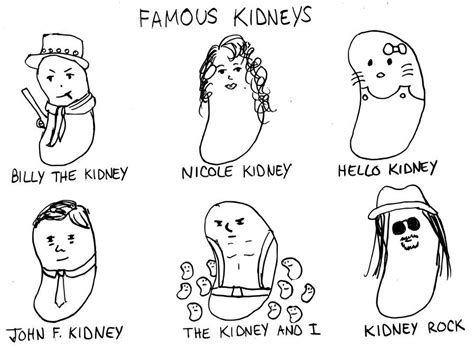 Unlike similar prints available from other artists, this image was drawn directly on a page from a repurposed, rescued book. jokes about the kidney | Anatomy | Pinterest | Meme, Humor ...