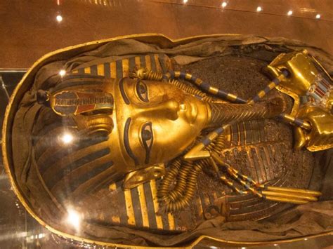 The Curse Of King Tut Tomb And Secrets Of 50398 Artifacts