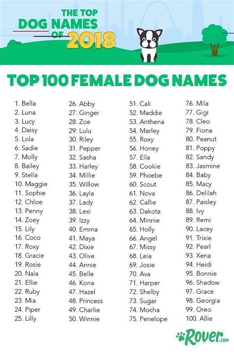 Female Dog Names Cute Unique : 525+ Cute Female Dog Names and Meanings | PetHelpful / If you're