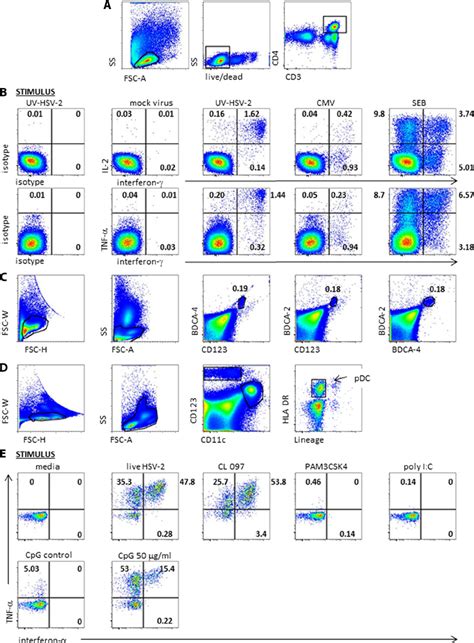 Representative Flow Cytometry Data A Gating Scheme For Cd4 T Cell