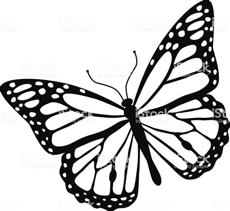 Monarch Butterfly Clipart Black And White 10 Free Cliparts Download