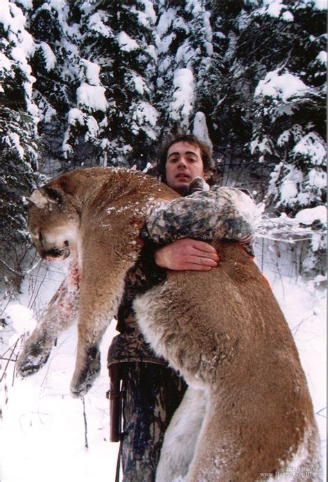 Martins Record Book Mountain Lion At