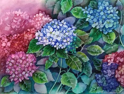 Watercolor Flowers Marvelous Hydrangea