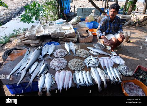 India Kerala Kochi Market Stalls Selling Freshly Caught Fish