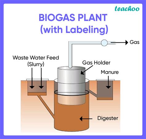 A Biogas Plant Is Where Biogas Is Produced By Fermenting Biomass