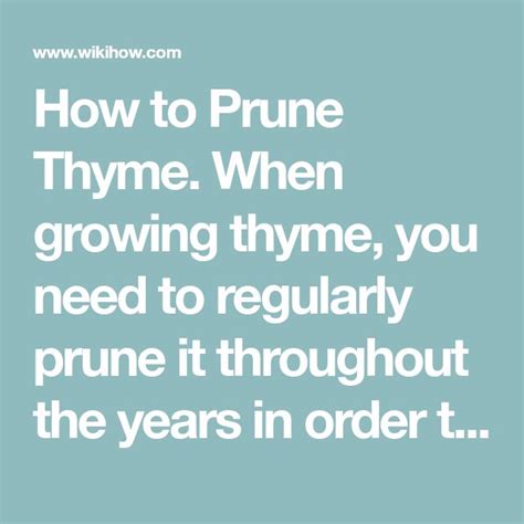 How To Prune Thyme 9 Steps With Pictures Wikihow Growing Thyme