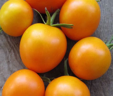 Organic Jaune Flamme Tomato