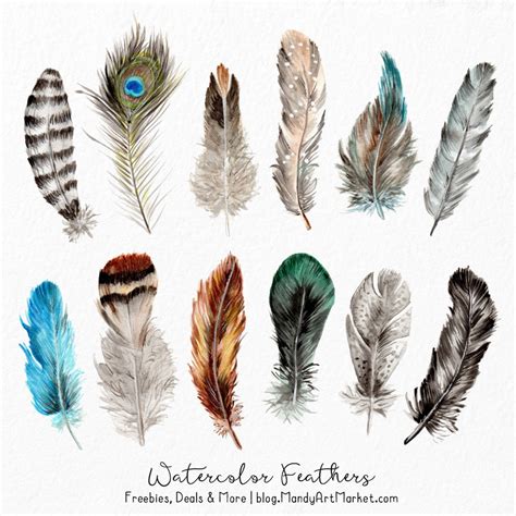 Watercolor Feathers Clipart Watercolour Feathers Hand Etsy