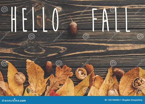 Hello Fall Text Hello Autumn Sign On Bright Colorful Autumn Lea Stock
