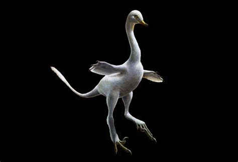 Newly Discovered Duck Dinosaur Is So Weird That Its Discoverers Couldn