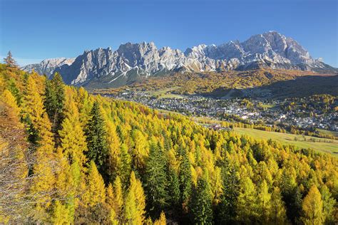 Monte Cristallo With Larch Trees Cortina Dampezzo Veneto Dolomites