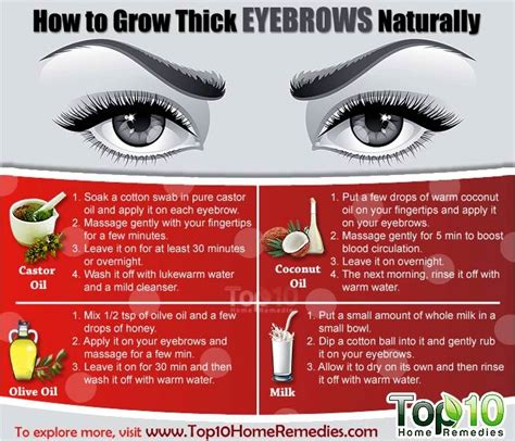 How To Grow Thick Eyebrows Naturally B And G Fashion