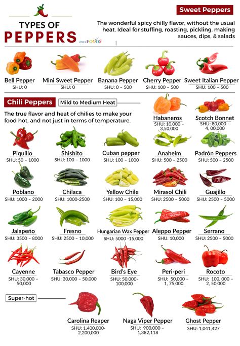 30 different types of peppers from sweet to mild and truly hot only foods