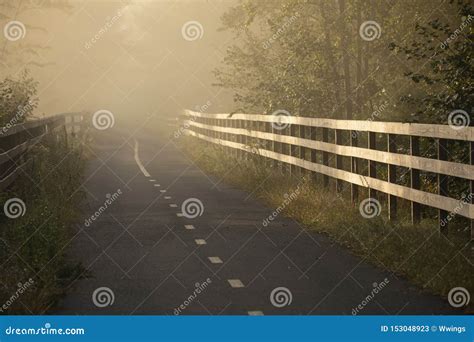 Foggy Morning Walk Stock Image Image Of Walkway Path 153048923