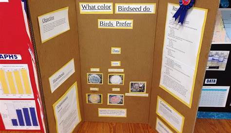 science fair projects for 5th graders