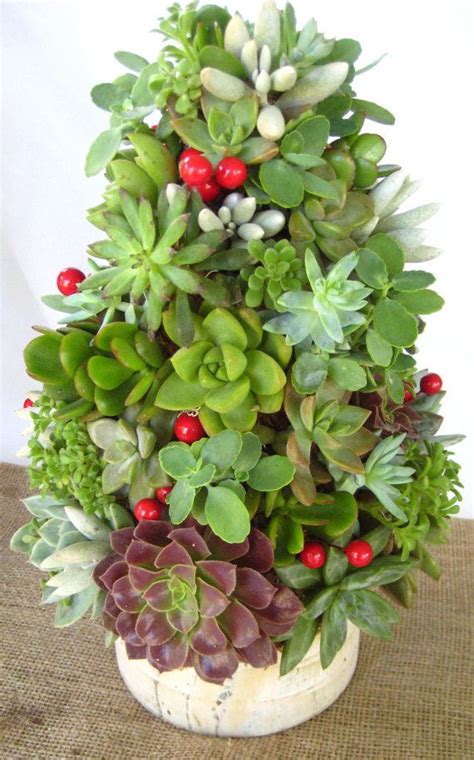 Learn how to make one using a sphagnum moss living wreath form, succulents, floral pins, and wire. Pin on Succulents
