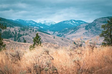 South Okanagan Grasslands Protected Area