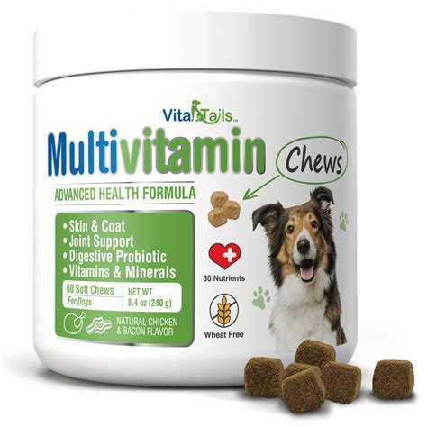 Multivitamin Soft Chews For Dogs 60 Count Natural Cure Labs