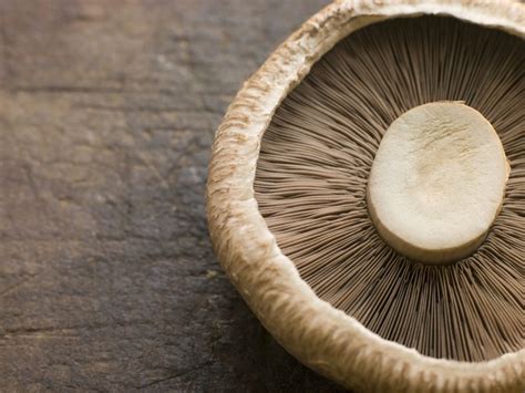 Mushrooms With Lemon And Mustard Nutrition Consultants