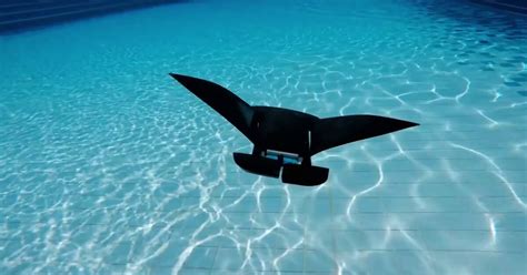 Mantadroid Could Be The Wet Electric Flapping Robotic Sea Scout Of