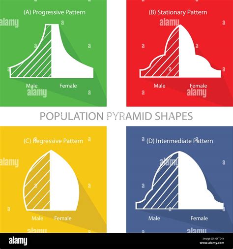 Population And Demography Illustration Set Of Four Types Of Population