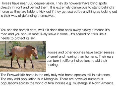 Facts About Horses Screen 7 On Flowvella Presentation Software For