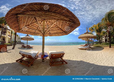 Loungers On A Beach Stock Photo Image Of Relaxation 22962286