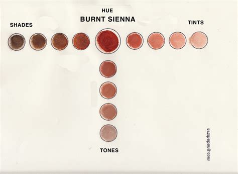 Burnt Sienna Shade Information Art Shebang